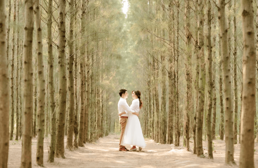 สรุปสถานที่ถ่ายพรีเวดดิ้งแนวธรรมชาติ.png